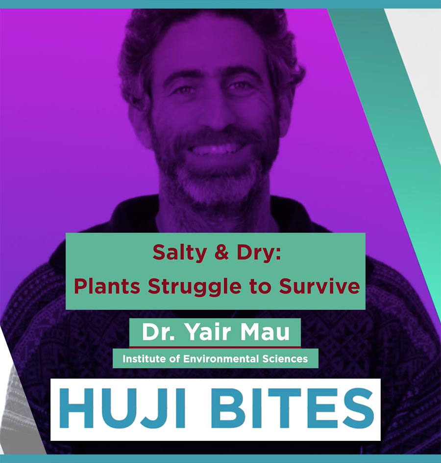 HUJI BITES: Salty & Dry: Plants Struggle to Survive