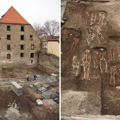 Ancient DNA from Medieval Germany Tells Origin Story of Ashkenazi Jews