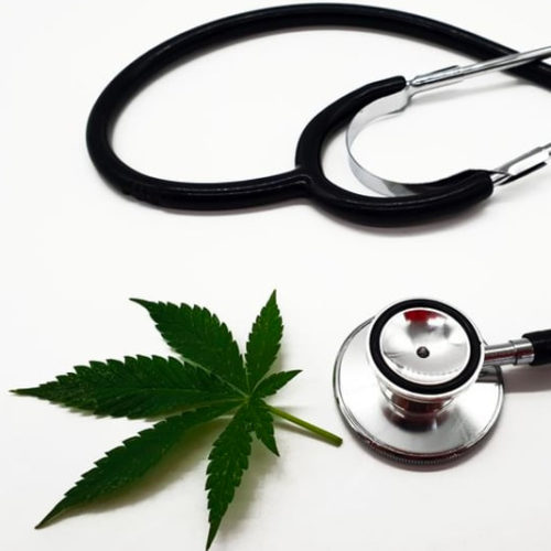 Hebrew University Announces Groundbreaking Medical Cannabis Course for Healthcare Professionals