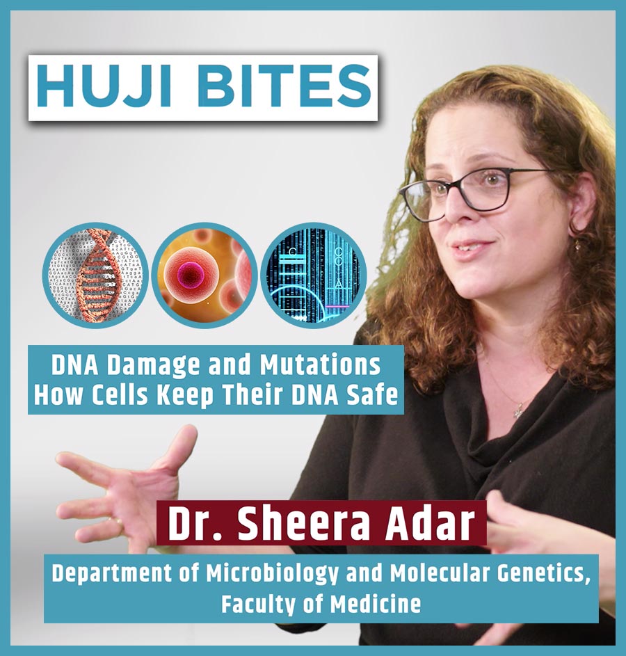 HUJI Bites - DNA Damage and Mutations: How Cells Keep Their DNA Safe