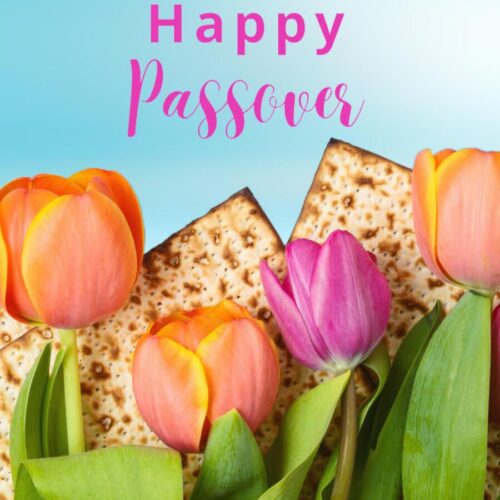 Happy Passover from CFHU!