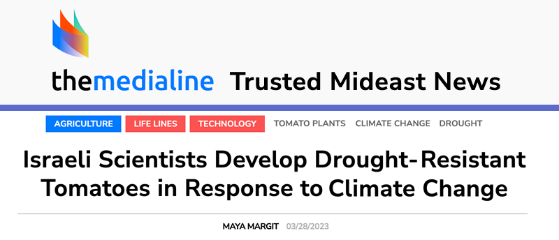 themedialine header - Israeli Scientists Develop Drought-Resistant Tomatoes in Response to Climate Change