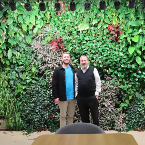 Hebrew U researchers demonstrate sustainability of Vertical Green-Living Walls