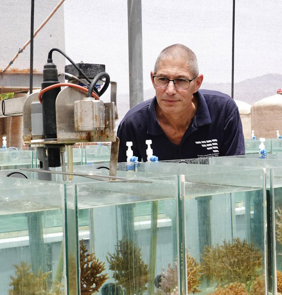 Meet the Hebrew U marine biologist using Red Sea simulator to prove coral resilience to climate changed