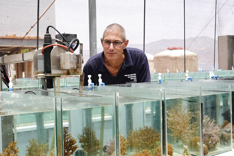 Maoz Fine, Head of Laboratory for Coral Reef Ecology at the Interuniversity Institute for Marine Sciences in Eilat, observes tanks of the Red Sea simulator in Eilat, the southernmost Israeli city, on June 1, 2023.