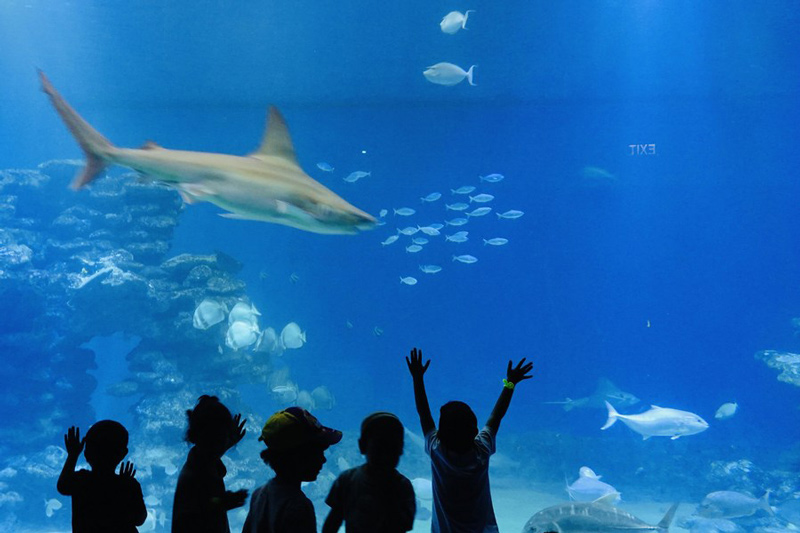 People visit the Underwater Observatory Park in the southernmost Israeli city of Eilat, on June 1, 2023.