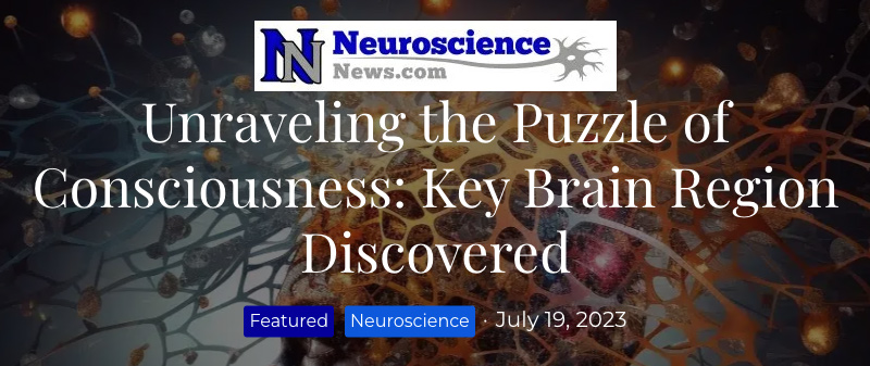 Neuroscience header - Unraveling the Puzzle of Consciousness: Key Brain Region Discovered by Hebrew U Scientists