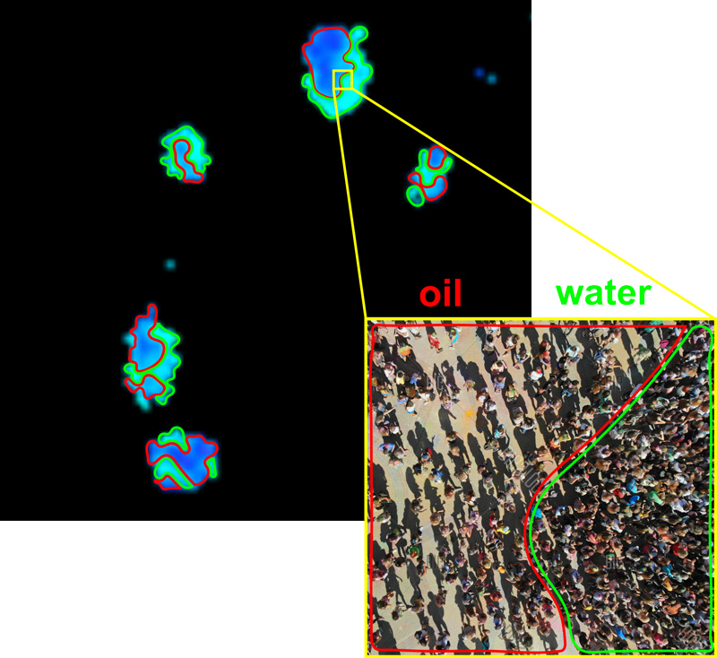 Within the nucleus of an embryonic stem cell (depicted on the left), HP1α bodies can be observed. These bodies exhibit phase separation, forming distinct liquid sub-domains with varying densities, as represented by the light blue and blue regions, respectively.