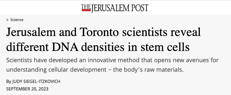 JPost header - Jerusalem and Toronto scientists reveal different DNA densities in stem cells - Scientists have developed an innovative method that opens new avenues for understanding cellular development – the body’s raw materials.