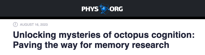 Phys.org header - Unlocking mysteries of octopus cognition