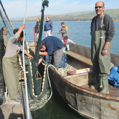 Hebrew U Researchers Revisit Israel's Freshwater Fish Species List through Cutting-Edge DNA Barcoding Technology