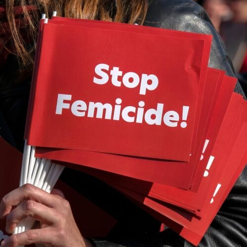 Hebrew University’s Israel Observatory on Femicide releases their 2023 report: 22 Cases of Gender-Based Murders and many more on October 7th