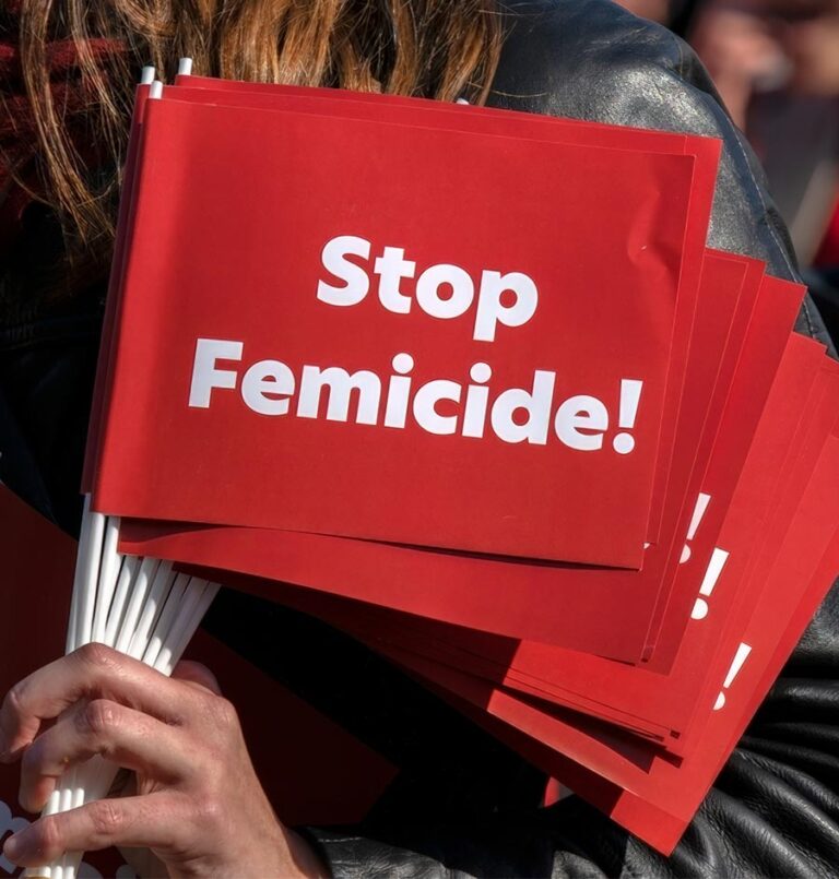 Hebrew University’s Israel Observatory on Femicide releases their 2023 report: 22 Cases of Gender-Based Murders and many more on October 7th