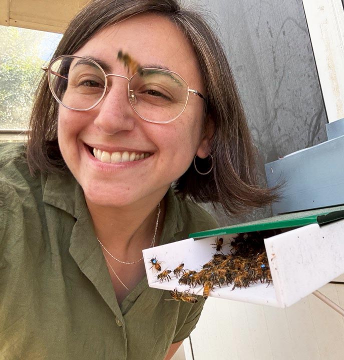 Honeybees Adjust Their Dances Based on Information Reliability, New HUJI Study Reveals