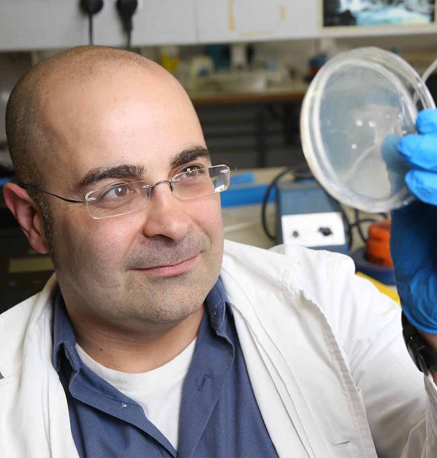 A New Hebrew U Study Reveals How the Brain Helps Protect Fertility from Heat-Induced Damage